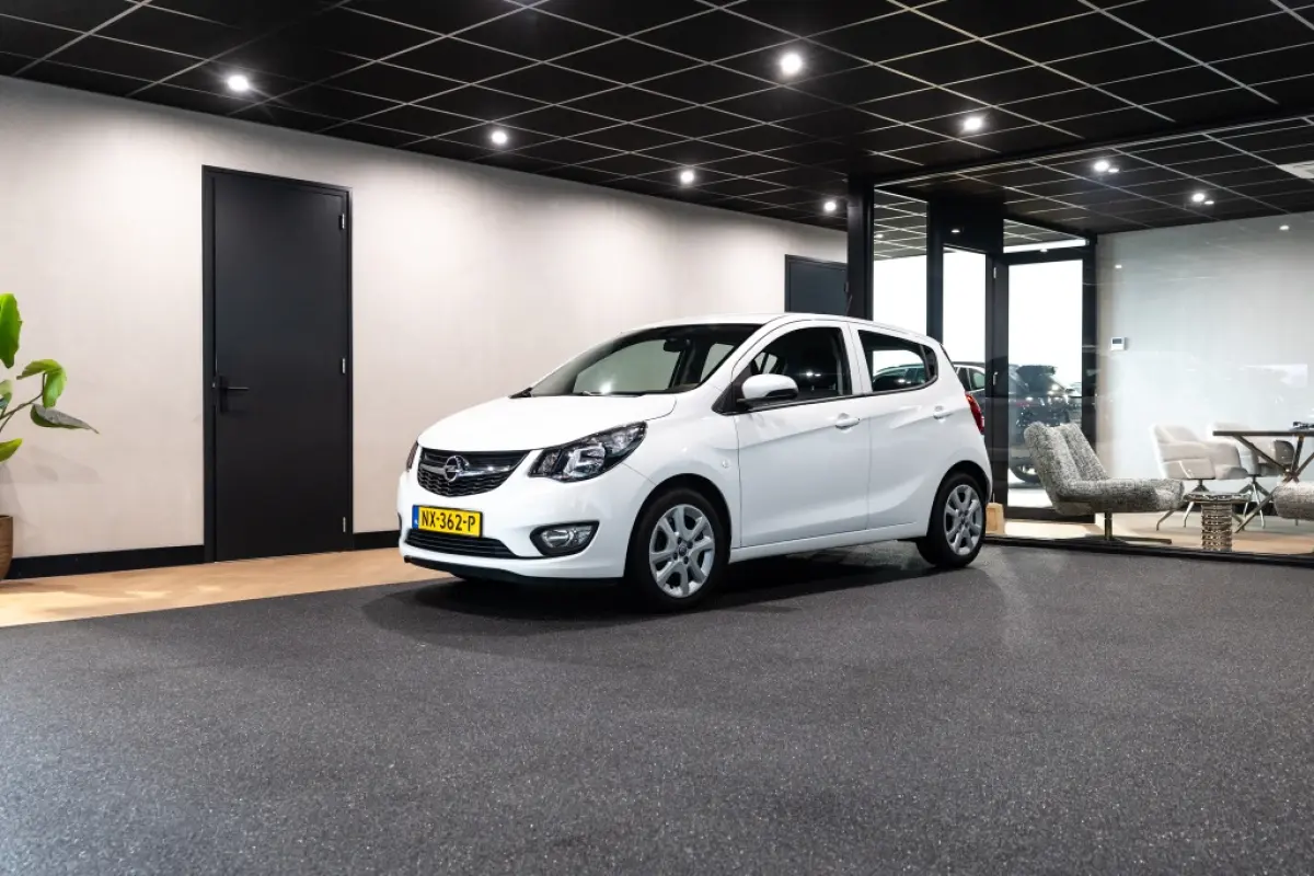 1.0 ecoFLEX Edition | Airco | Cruise | Trekhaak |