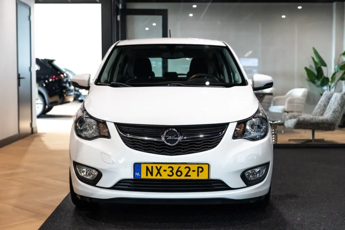 1.0 ecoFLEX Edition | Airco | Cruise | Trekhaak |