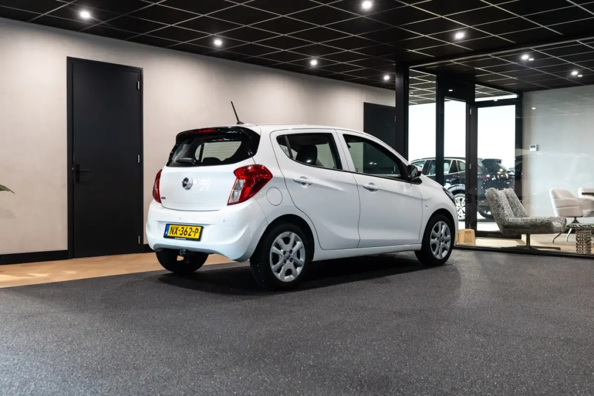 1.0 ecoFLEX Edition | Airco | Cruise | Trekhaak |