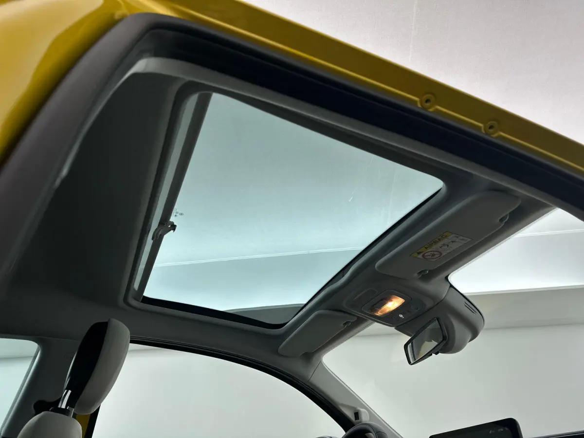 Icon 42 kWh | Camera | Stoelverwarming | LMV | Sensore V+A | Apple Carplay | Cruise Control | PANO | Dodehoekdetectie | DAB | 118PK | WLTP 331 | LED | Tot 8 jaar speciale garantie!