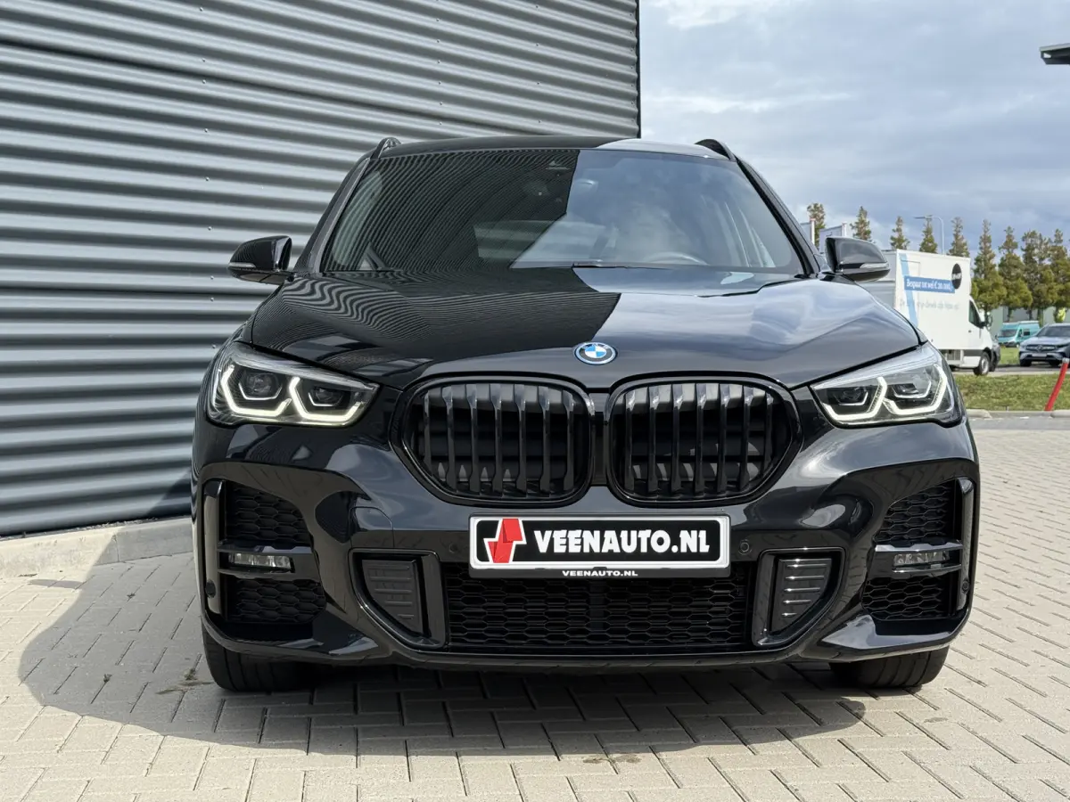 xDrive25e High Executive Trekhaak/Leder/Camera