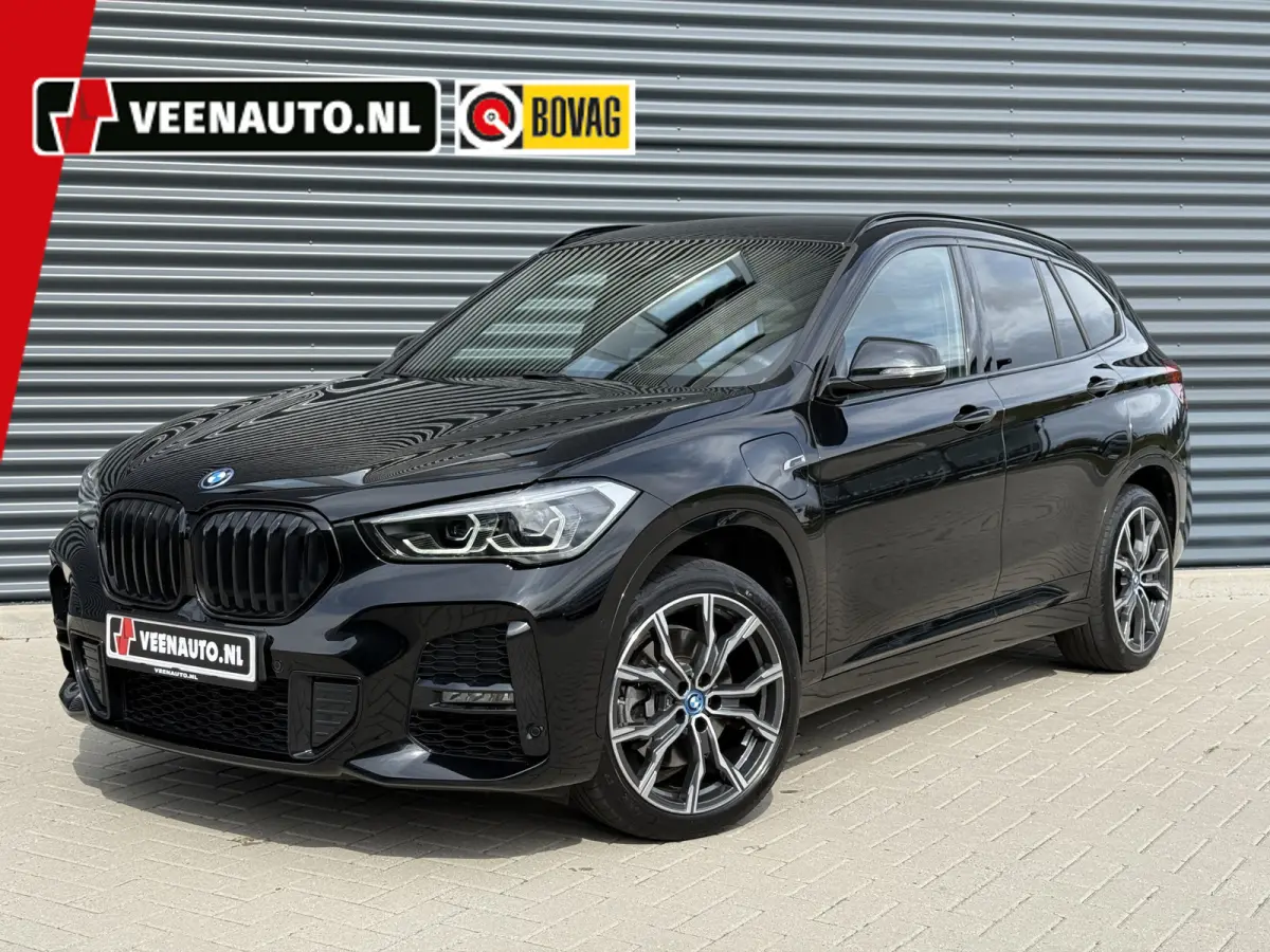 xDrive25e High Executive Trekhaak/Leder/Camera