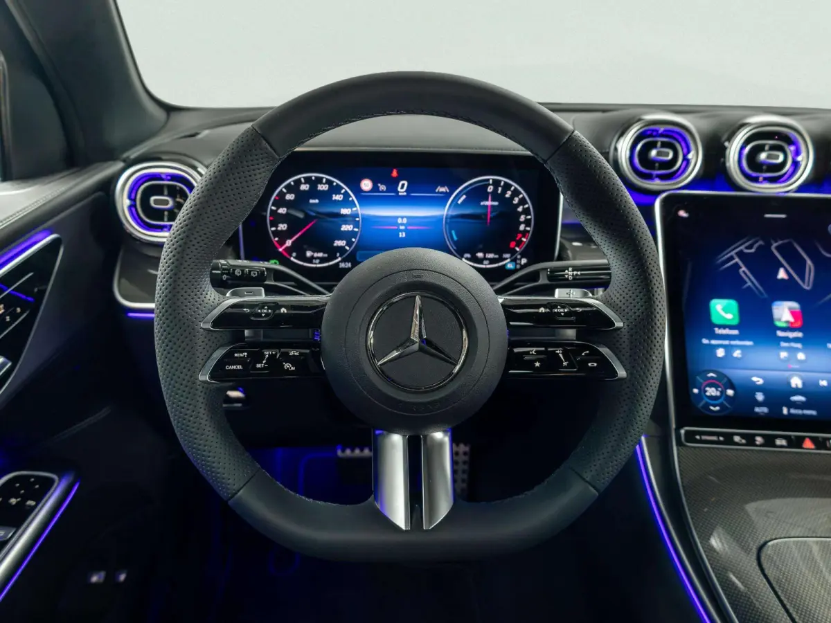 4MATIC Business Solution AMG | Panorama dak