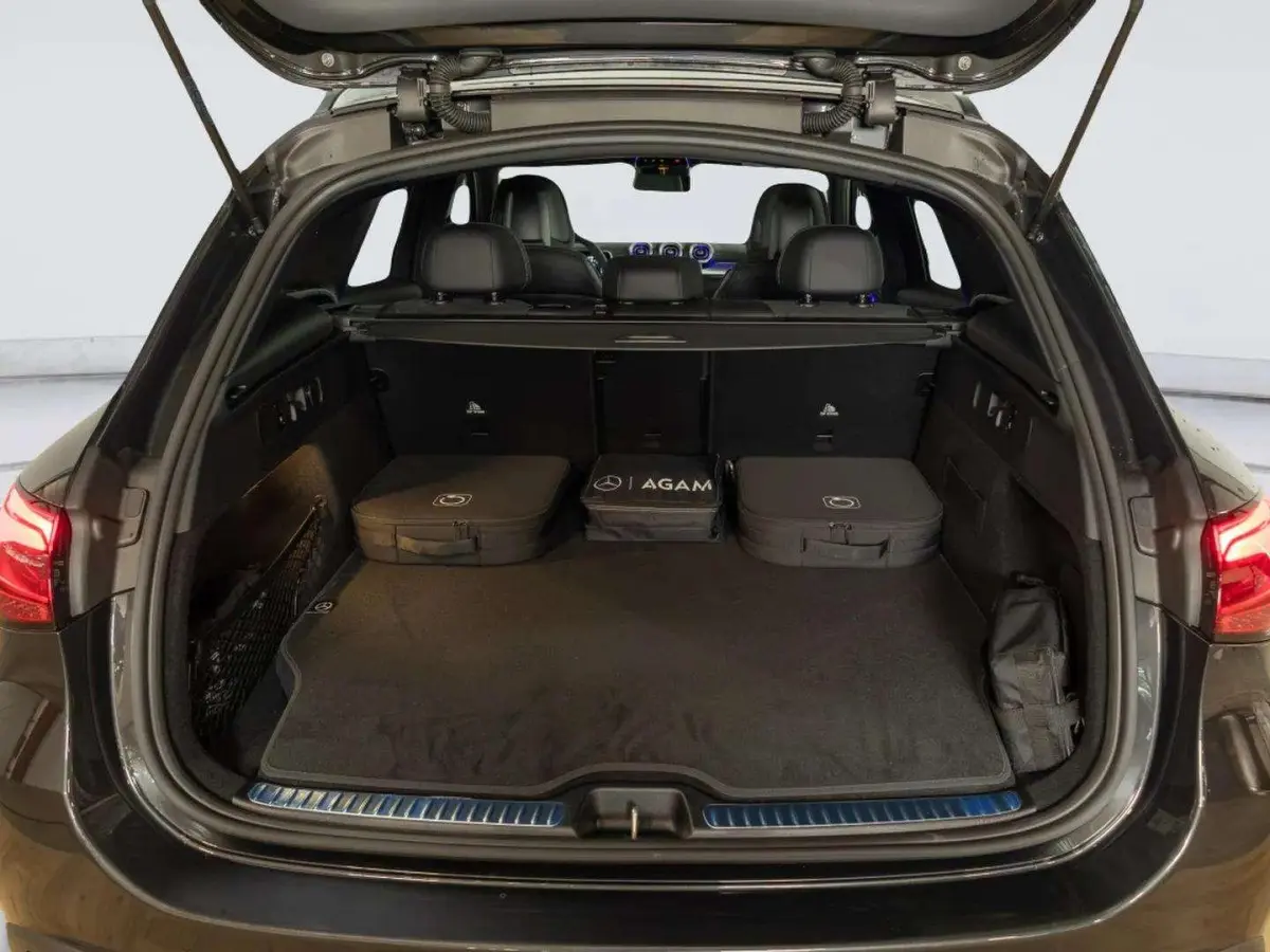 4MATIC Business Solution AMG | Panorama dak