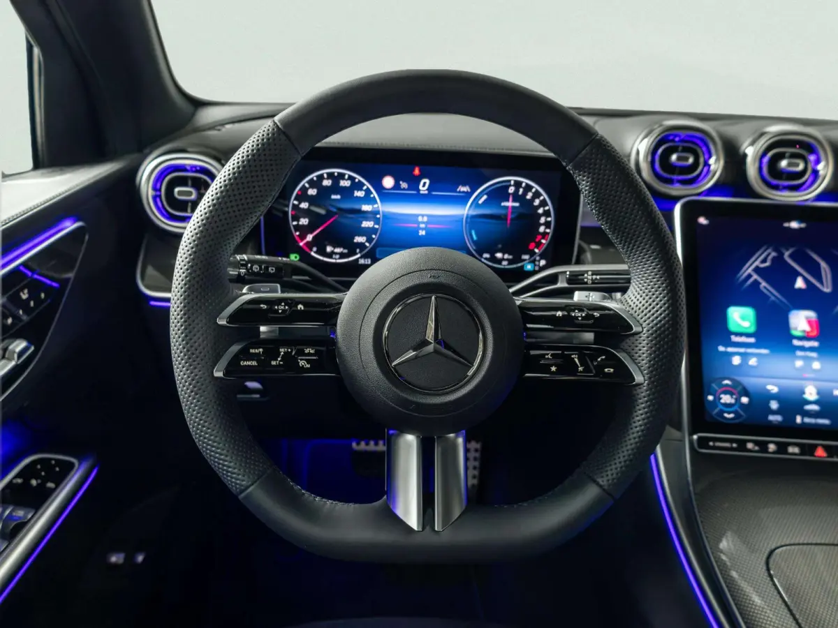 4MATIC Business Solution AMG | Panorama dak