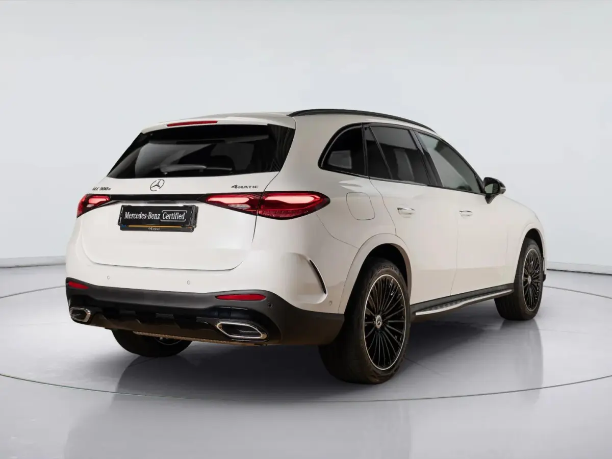 4MATIC Business Solution AMG | Panorama dak