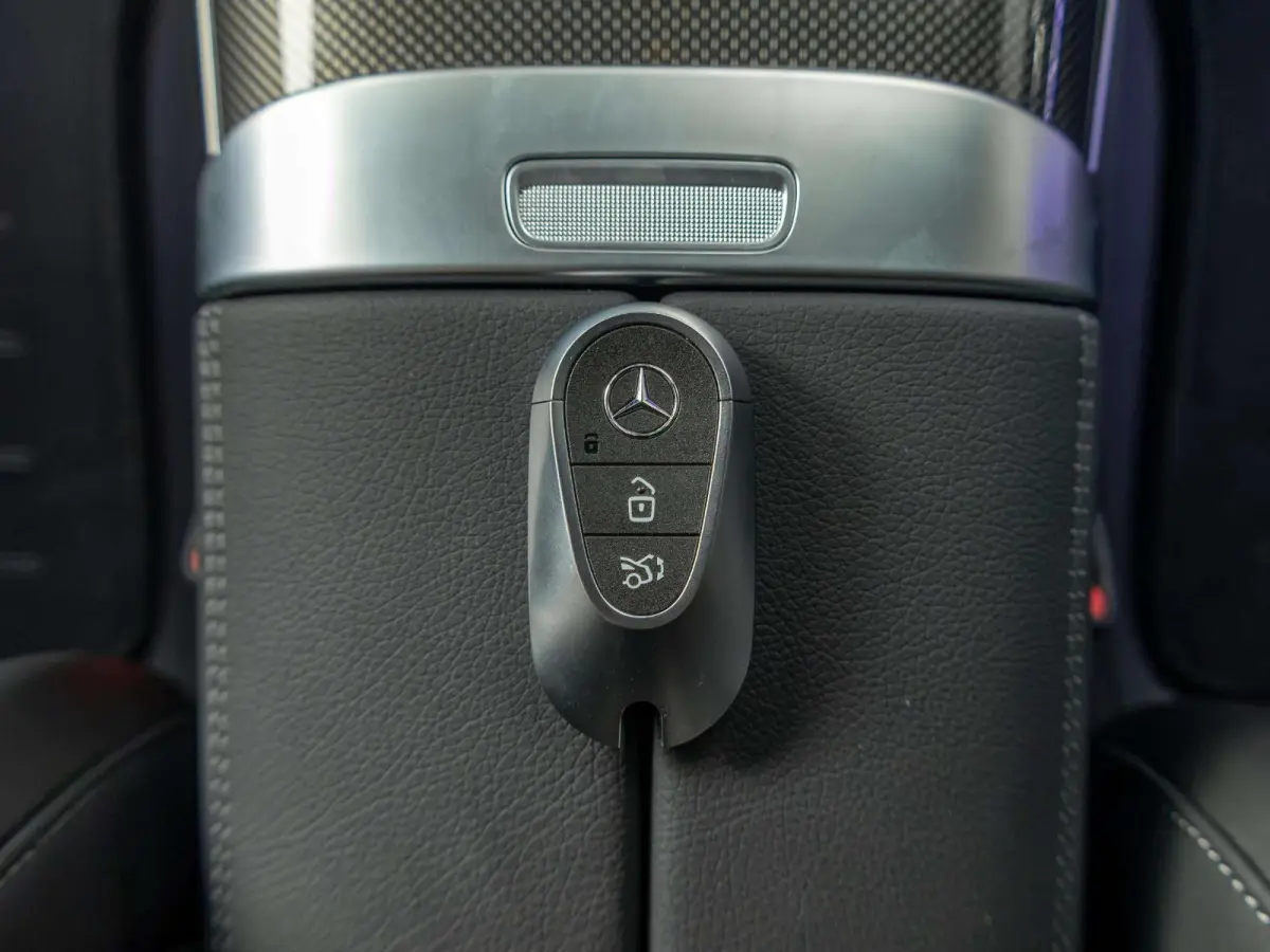 4MATIC Business Solution AMG | Panorama dak