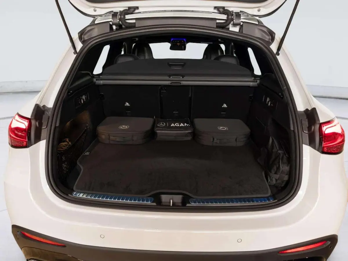 4MATIC Business Solution AMG | Panorama dak