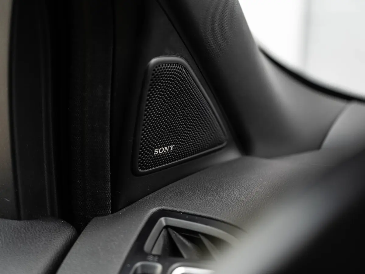 1.5 EcoBoost ST Line Sony/Camera/AppleCarPlay