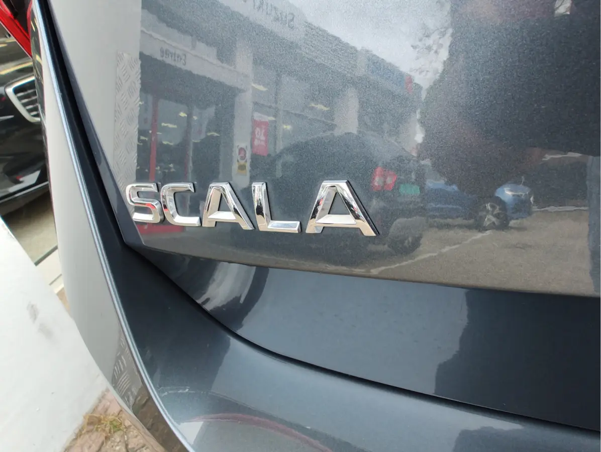 1.0 TSI SPORT BUSINESS Cruise | Camera | Draadloze lader | Android/Carplay