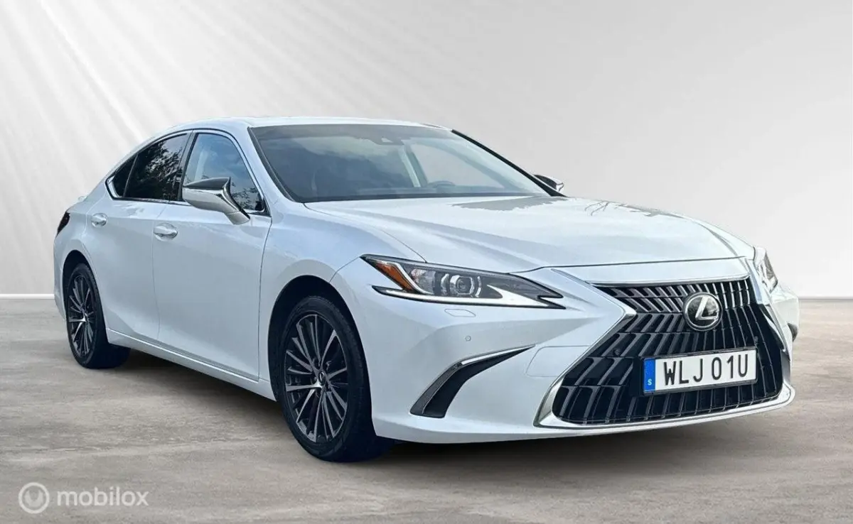 Executive Line