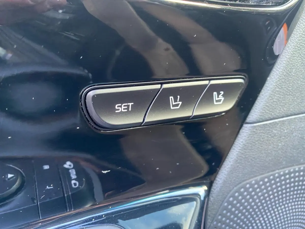 ExecutiveLine 64 kWh | Climate control | Leder | Stoel + stuurverwarming en ventilatie | Schuif/kanteldak | Navigatie | 17 inch LM-velgen | Keyless | SOH 97% |