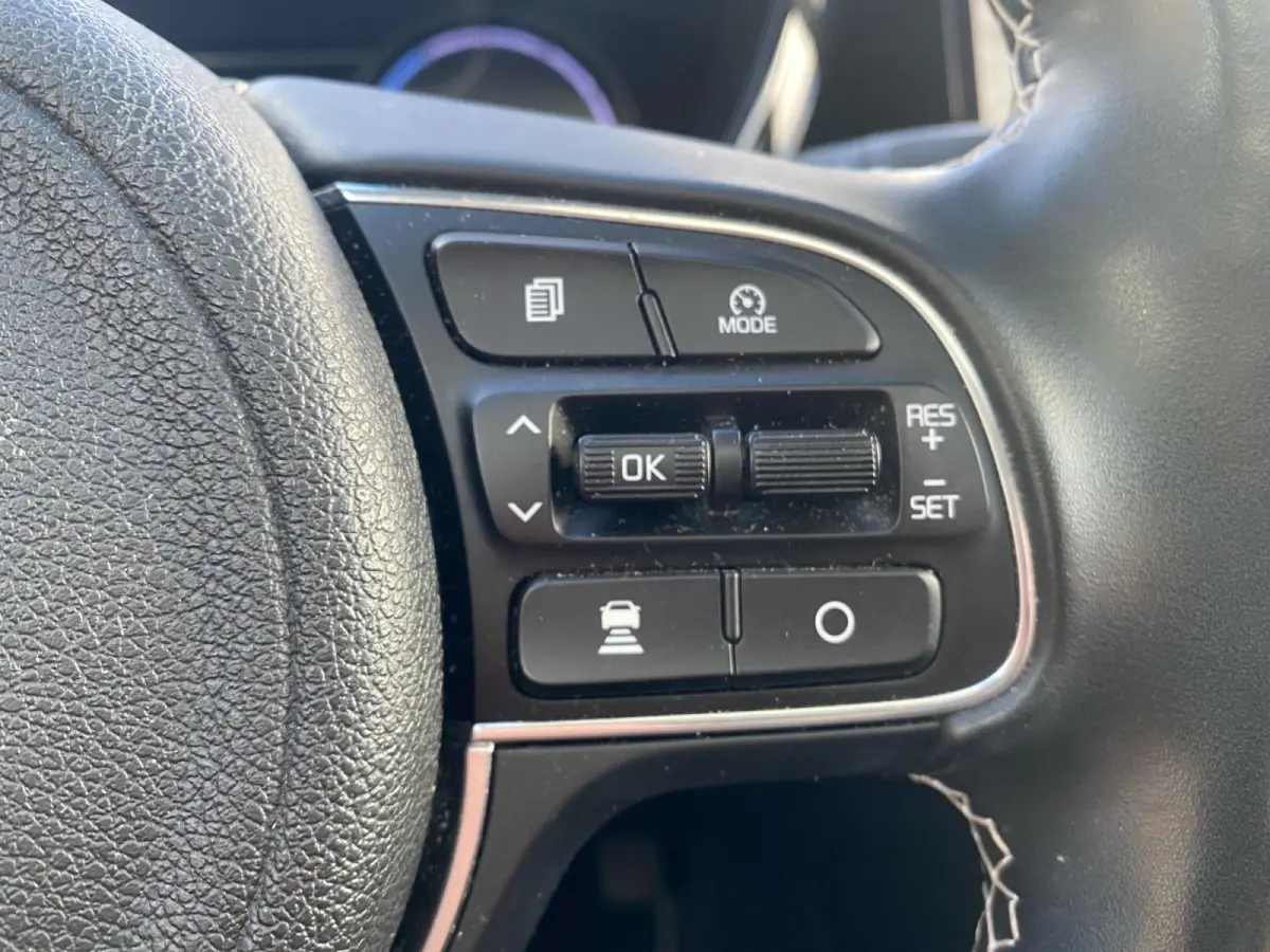 ExecutiveLine 64 kWh | Climate control | Leder | Stoel + stuurverwarming en ventilatie | Schuif/kanteldak | Navigatie | 17 inch LM-velgen | Keyless | SOH 97% |