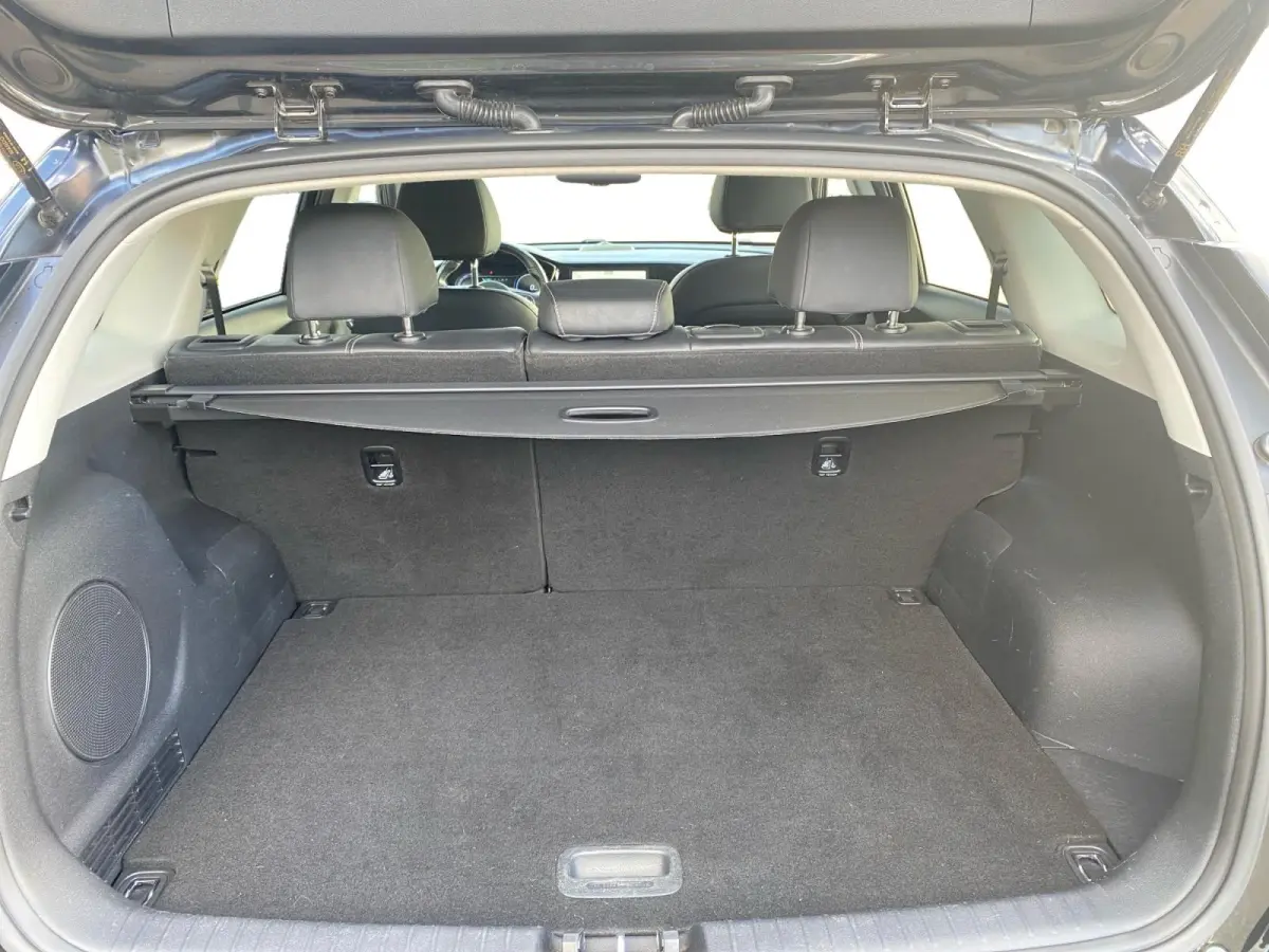 ExecutiveLine 64 kWh | Climate control | Leder | Stoel + stuurverwarming en ventilatie | Schuif/kanteldak | Navigatie | 17 inch LM-velgen | Keyless | SOH 97% |