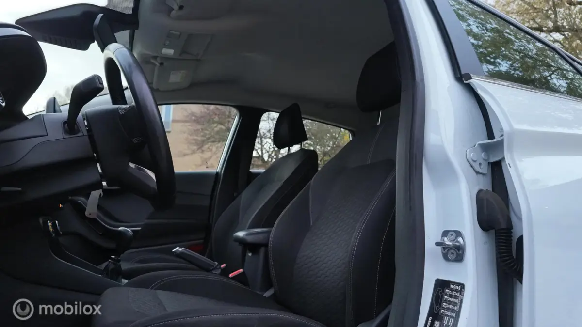 1.0 EcoBoost Hybrid Titanium AIRCO CAR.PLAY PDC