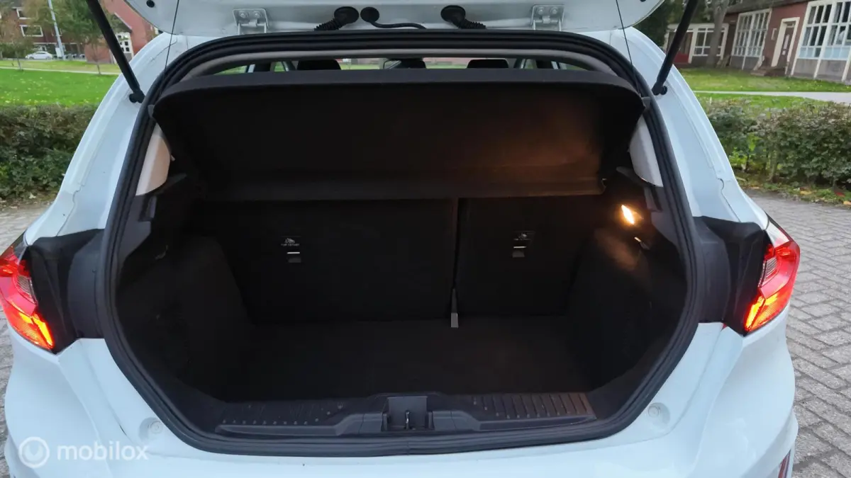 1.0 EcoBoost Hybrid Titanium AIRCO CAR.PLAY PDC
