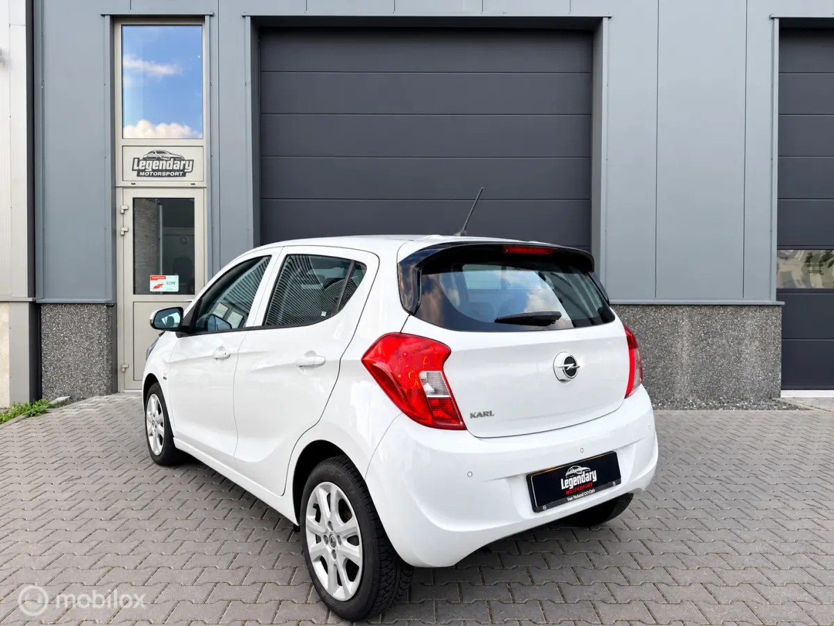 1.0 ecoFLEX 120 Jaar|Dealerond.|Cruise|PDC|Airco
