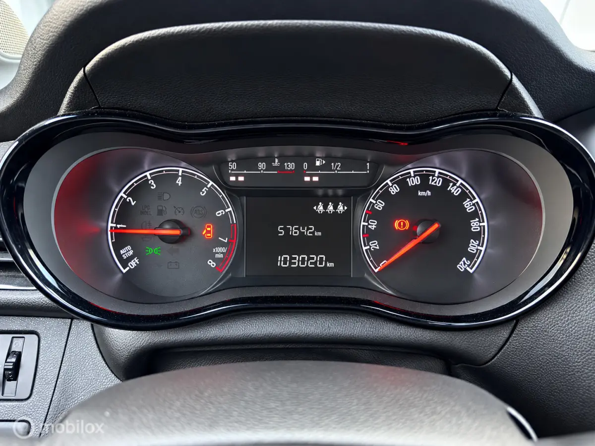 1.0 ecoFLEX 120 Jaar|Dealerond.|Cruise|PDC|Airco