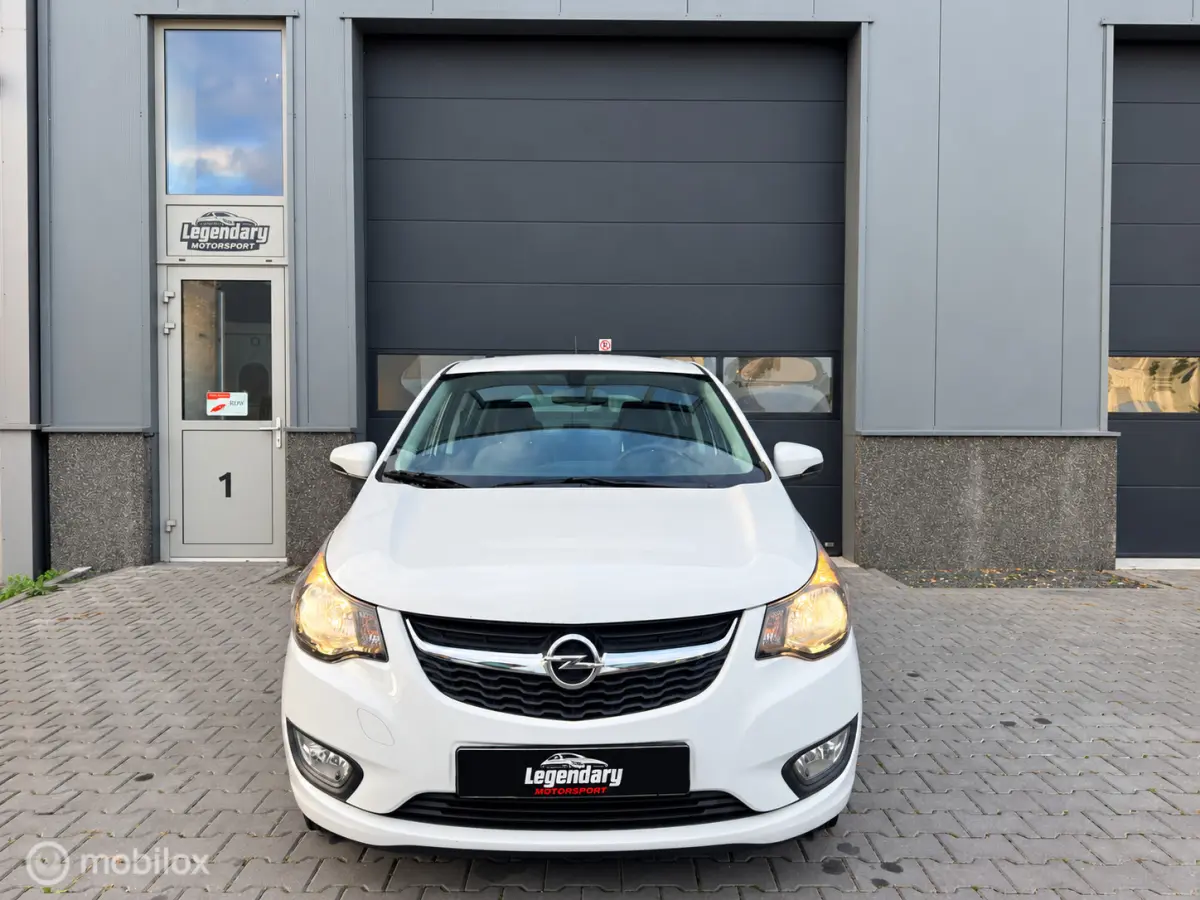 1.0 ecoFLEX 120 Jaar|Dealerond.|Cruise|PDC|Airco