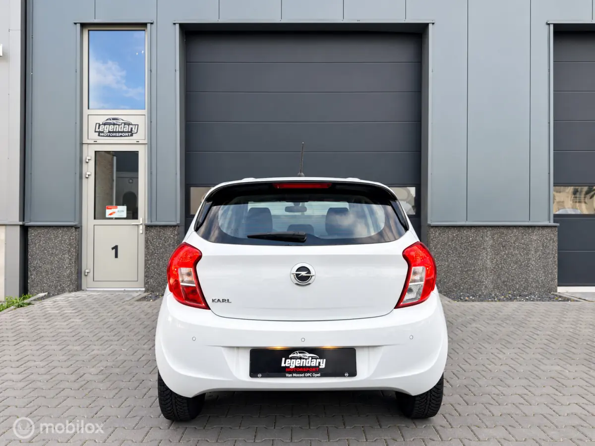 1.0 ecoFLEX 120 Jaar|Dealerond.|Cruise|PDC|Airco