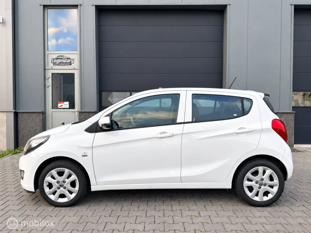 1.0 ecoFLEX 120 Jaar|Dealerond.|Cruise|PDC|Airco