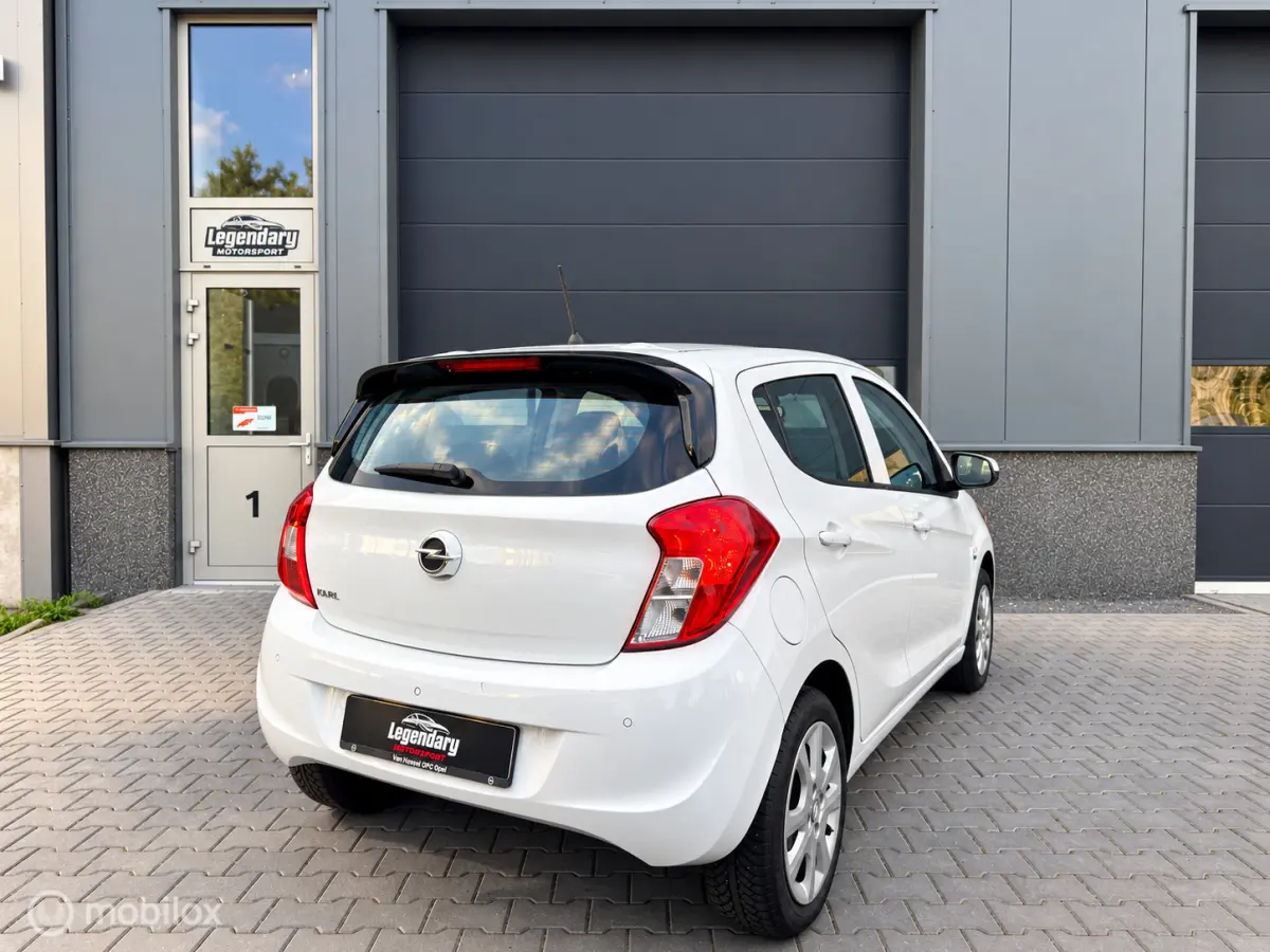 1.0 ecoFLEX 120 Jaar|Dealerond.|Cruise|PDC|Airco