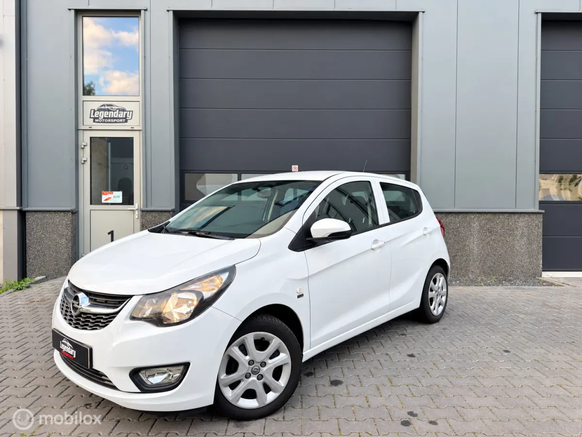 1.0 ecoFLEX 120 Jaar|Dealerond.|Cruise|PDC|Airco