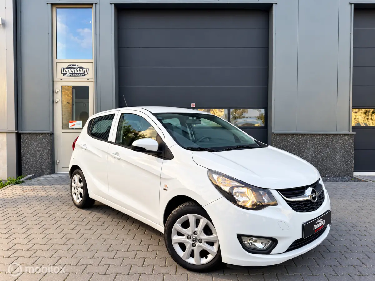 1.0 ecoFLEX 120 Jaar|Dealerond.|Cruise|PDC|Airco