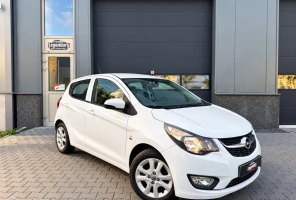 1.0 ecoFLEX 120 Jaar|Dealerond.|Cruise|PDC|Airco