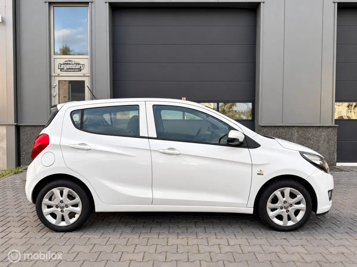 1.0 ecoFLEX 120 Jaar|Dealerond.|Cruise|PDC|Airco