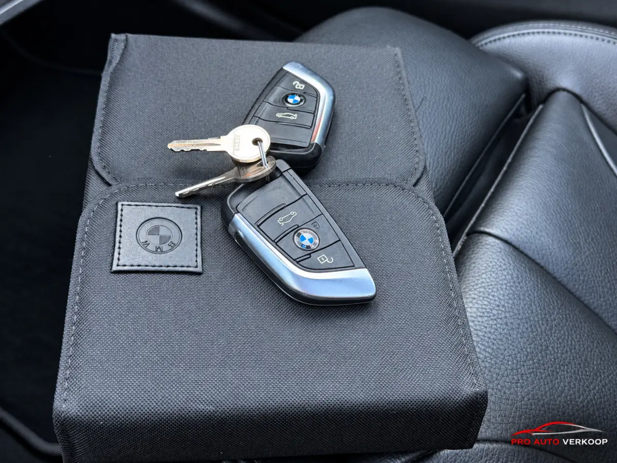 SDrive20i VDL Nedcar Edition M-Pakket_Pano_Trekh