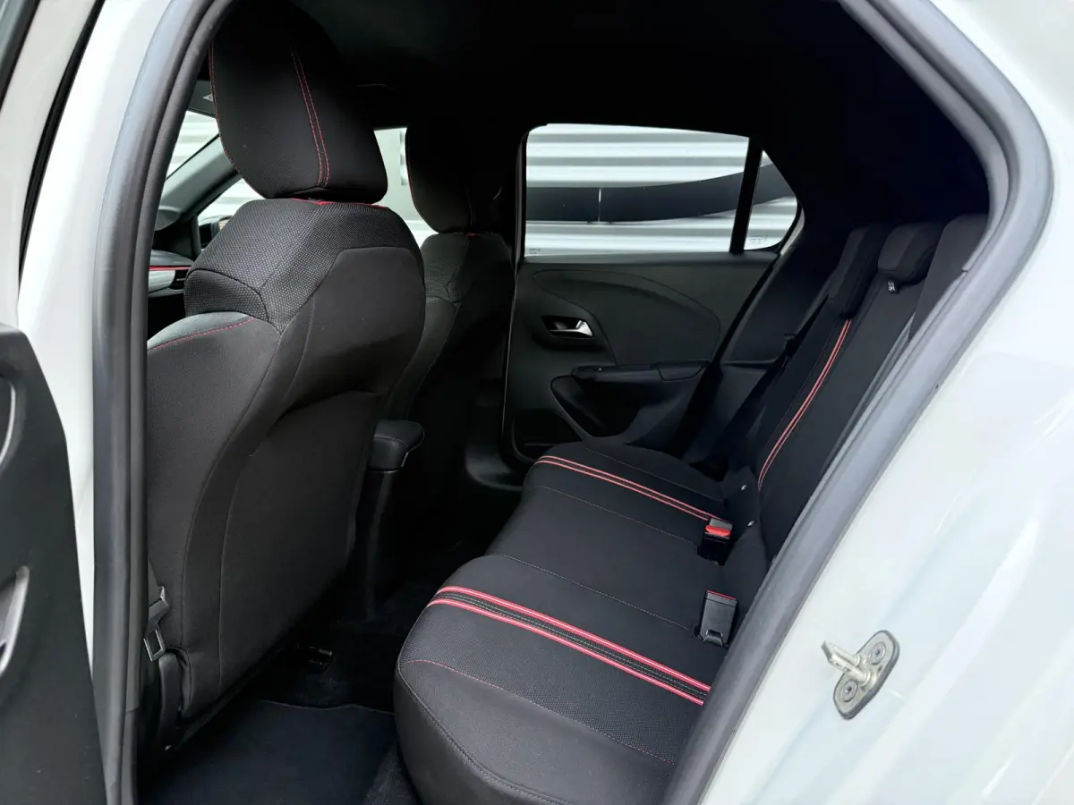 1.2 GS Line 2e Eigenaar|Carplay|Camera|PDC|Airco|Cruise|APK tot 06-2027