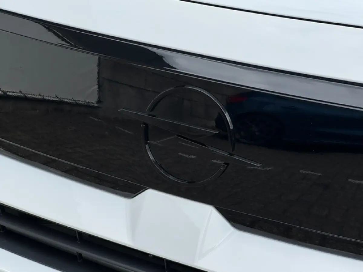 1.2 Turbo Hybrid GS (7P) met Navi/Camera, AGR-stoelen, Nieuwe auto!