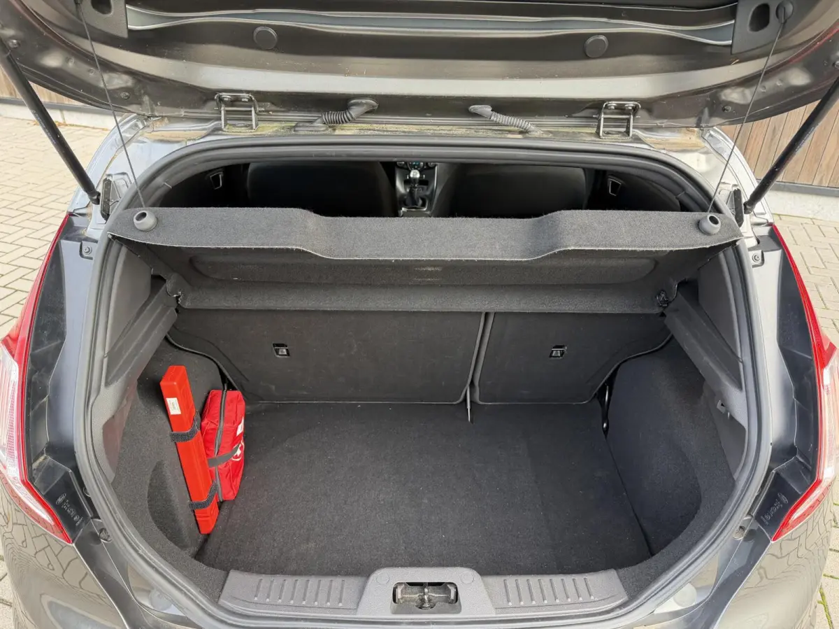 1.0 EcoBoost ST - Line 140pk | Stoel/stuurverwarming | Leuke uitvoering!