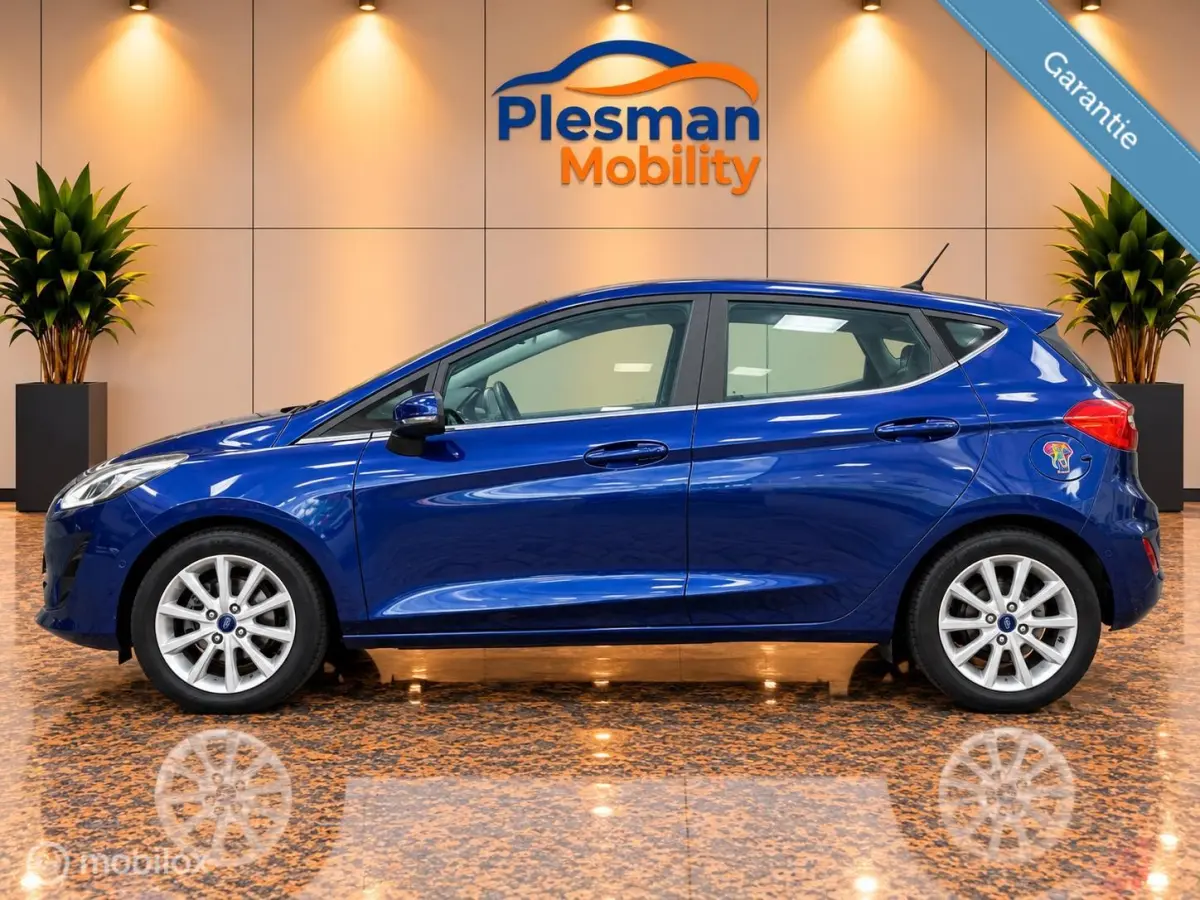 1.0 EcoBoost Titanium, Nieuwe Distributieriem!