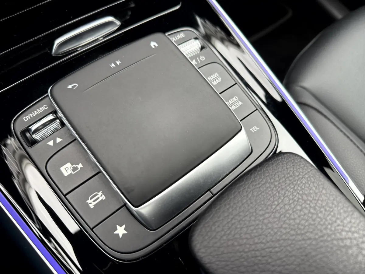 250 Luxury Line 67 kWh SOH 97.5%, Panoramadak, Head Up Display