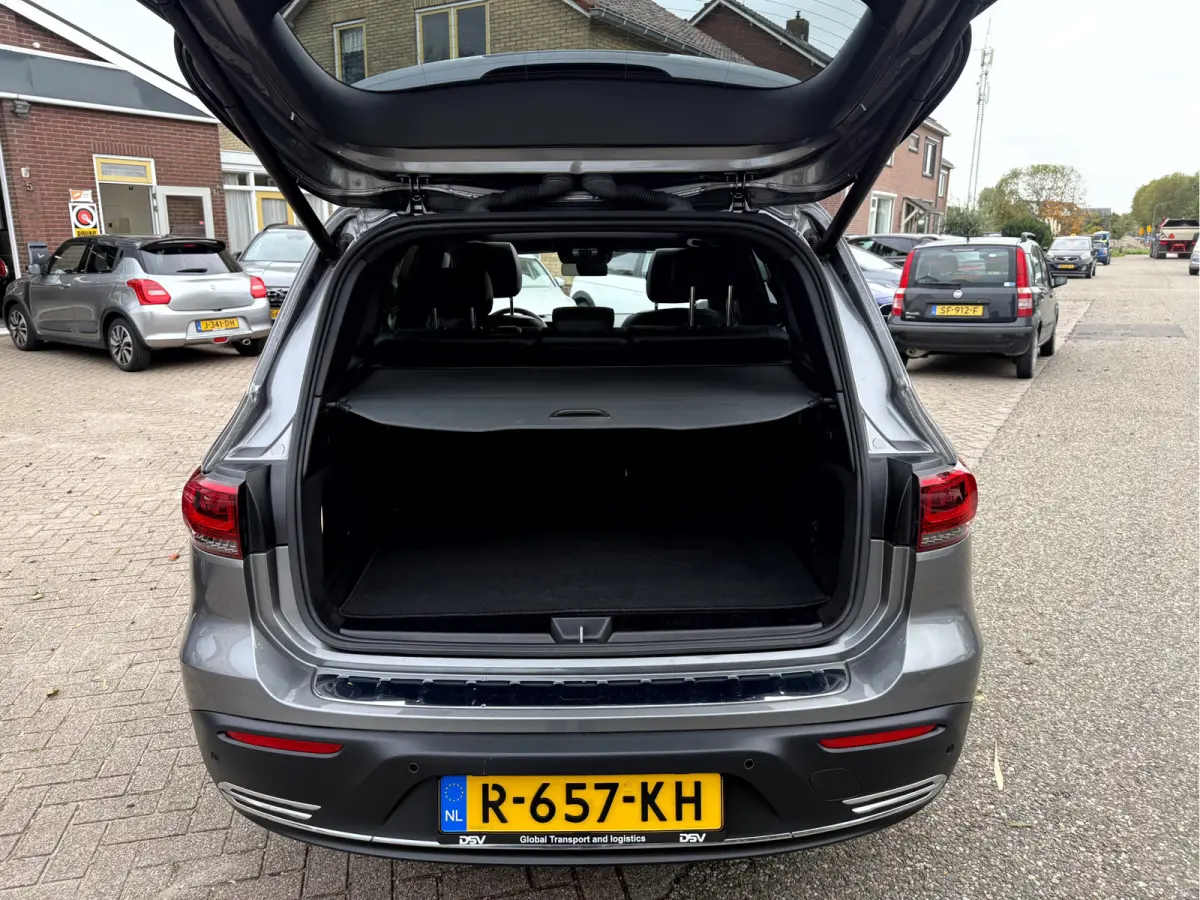 250 Luxury Line 67 kWh SOH 97.5%, Panoramadak, Head Up Display
