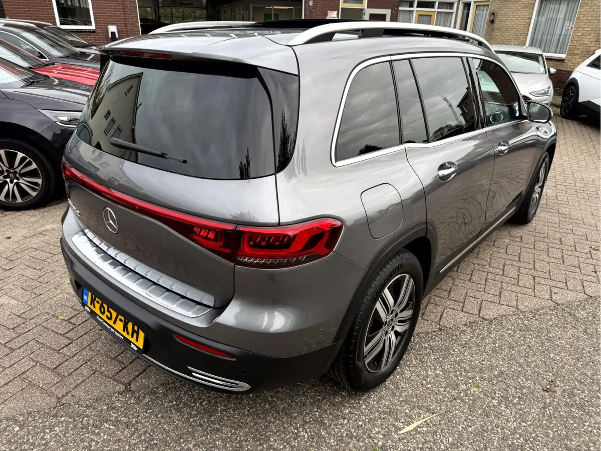 250 Luxury Line 67 kWh SOH 97.5%, Panoramadak, Head Up Display