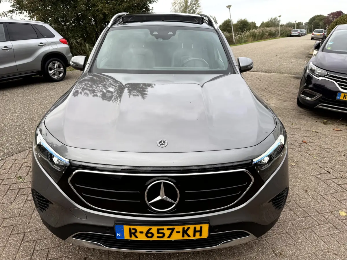 250 Luxury Line 67 kWh SOH 97.5%, Panoramadak, Head Up Display