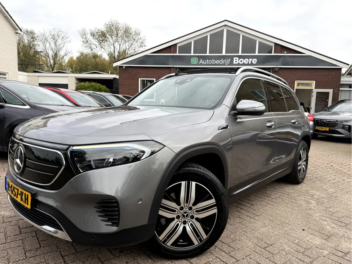 250 Luxury Line 67 kWh SOH 97.5%, Panoramadak, Head Up Display