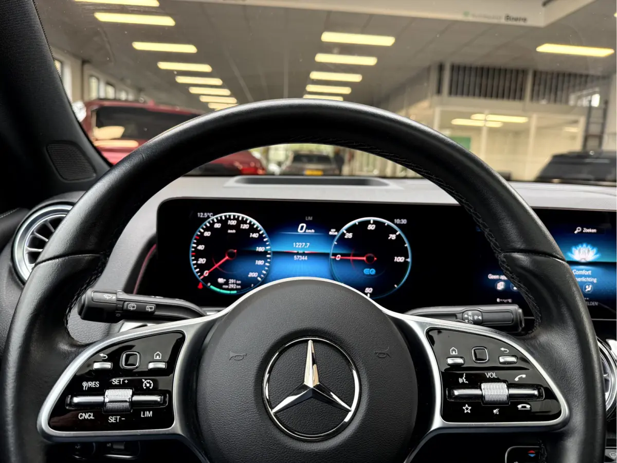 250 Luxury Line 67 kWh SOH 97.5%, Panoramadak, Head Up Display