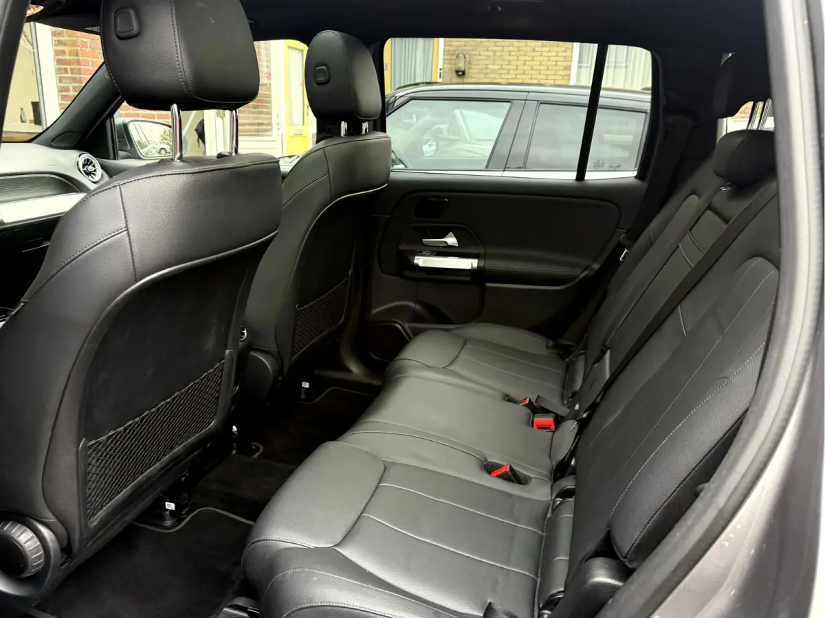 250 Luxury Line 67 kWh SOH 97.5%, Panoramadak, Head Up Display