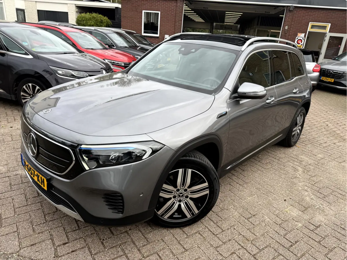 250 Luxury Line 67 kWh SOH 97.5%, Panoramadak, Head Up Display