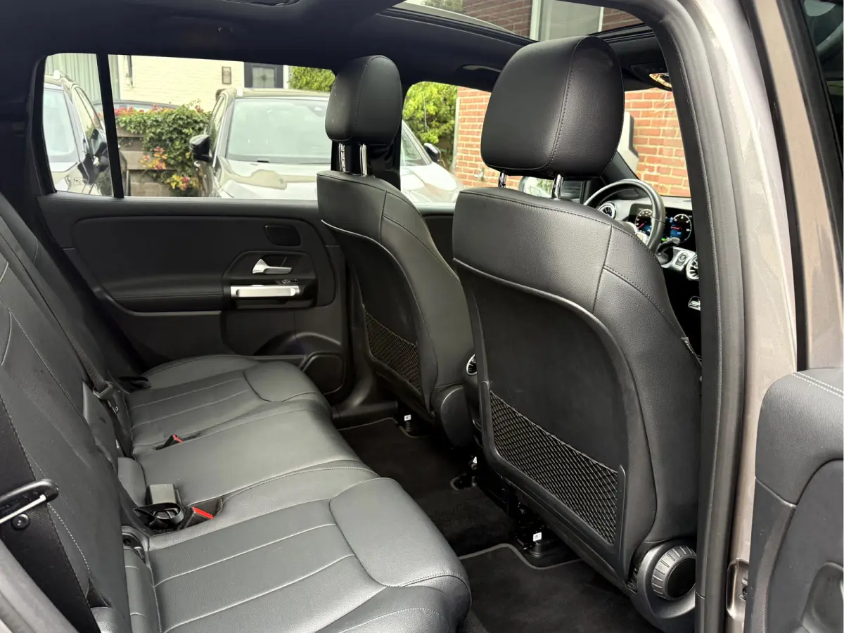 250 Luxury Line 67 kWh SOH 97.5%, Panoramadak, Head Up Display