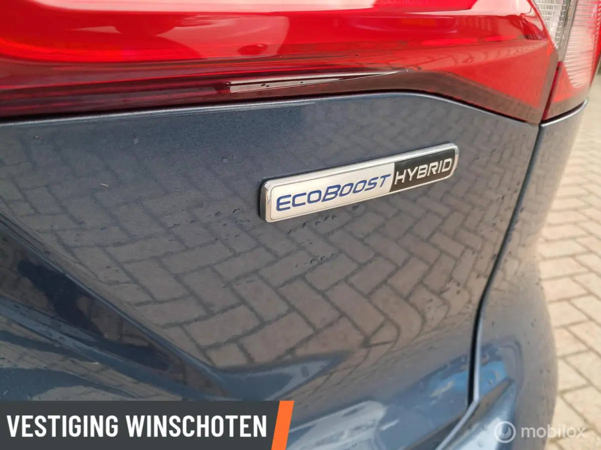 1.0 EcoBoost Hybrid ST Line X Business | Stoel/Stuurverwarming | LM Velgen |