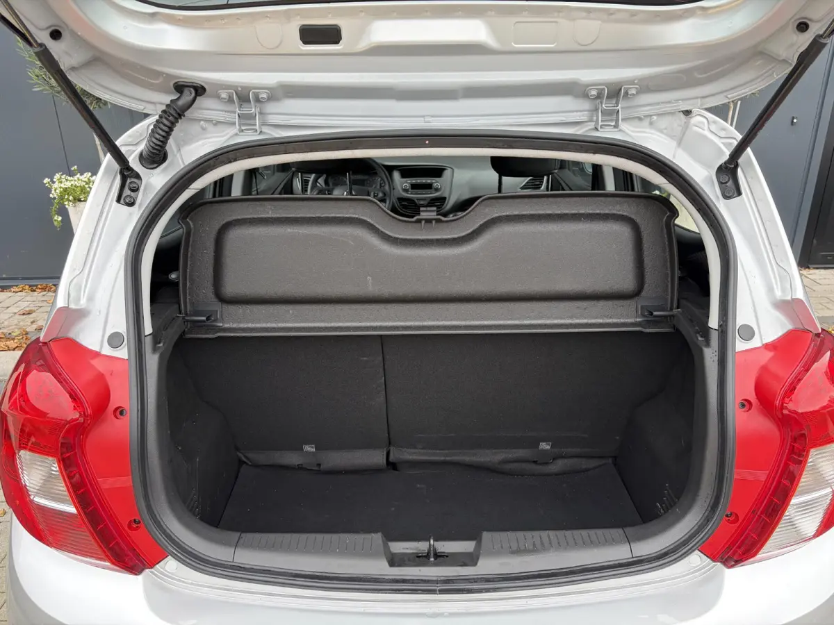 1.0 ecoFLEX 120 Jaar Edition | Airco | Cruise | Elektrische ramen | Parkeersensoren | Lichtmetalen velgen | Nieuwe APK | Top!!!