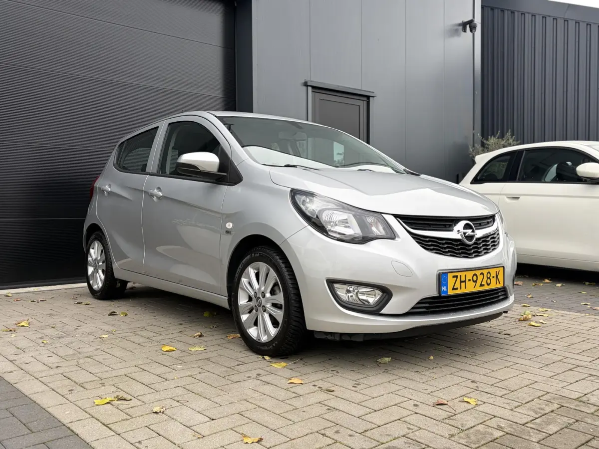 1.0 ecoFLEX 120 Jaar Edition | Airco | Cruise | Elektrische ramen | Parkeersensoren | Lichtmetalen velgen | Nieuwe APK | Top!!!