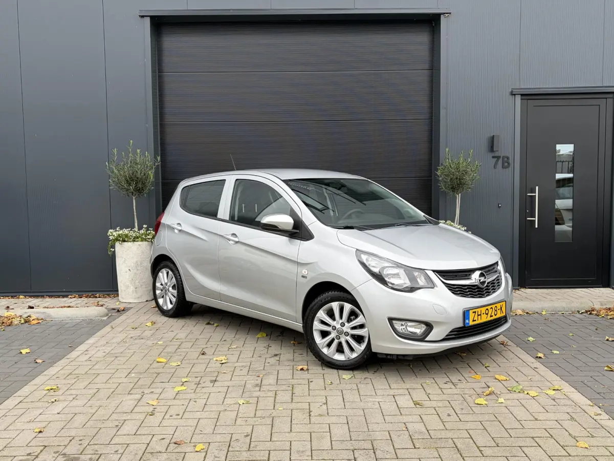 1.0 ecoFLEX 120 Jaar Edition | Airco | Cruise | Elektrische ramen | Parkeersensoren | Lichtmetalen velgen | Nieuwe APK | Top!!!