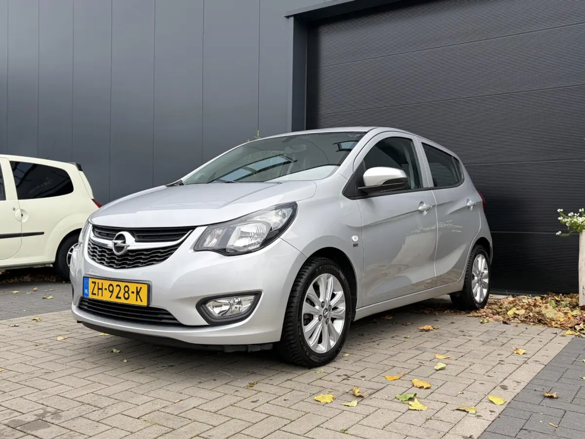 1.0 ecoFLEX 120 Jaar Edition | Airco | Cruise | Elektrische ramen | Parkeersensoren | Lichtmetalen velgen | Nieuwe APK | Top!!!