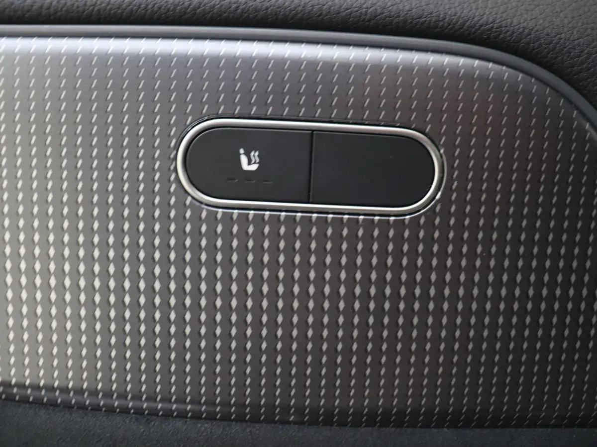 250 AMG Line 67 kWh Nightpakket / Stoelverwarming / 19'' vijf-dubbelspaaks / Parkeercamera